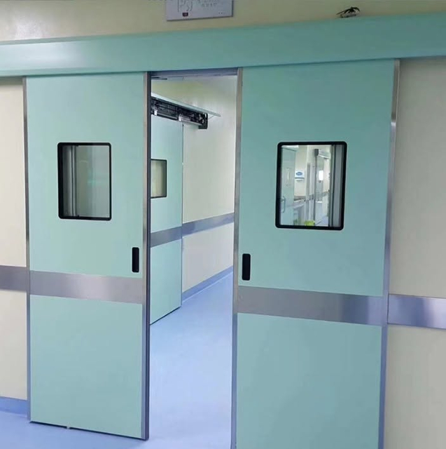 Cleanroom Unequal Steel Door 