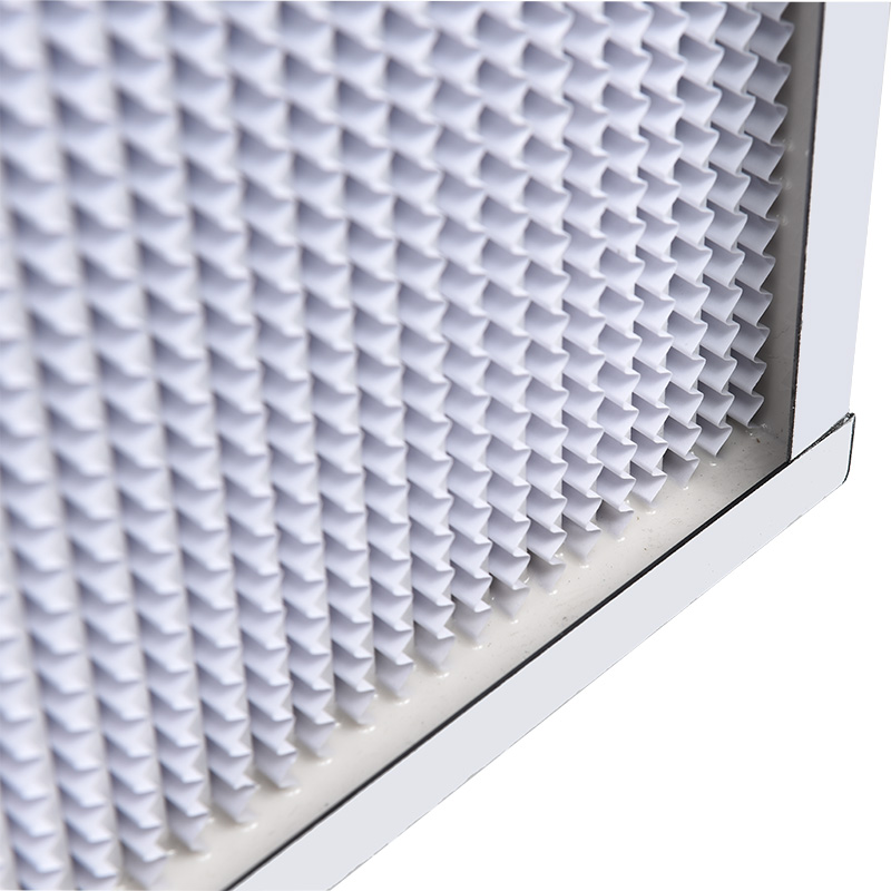 Deep Plate HEPA Filter